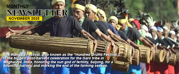 Newsletter November 2025