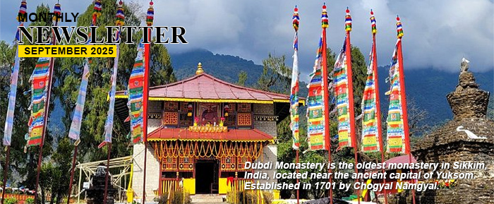 Newsletter September 2025